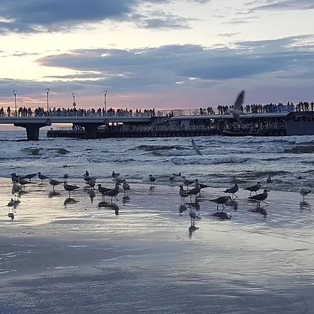 Apartman Solna 11a Z Garazem W Cenie *